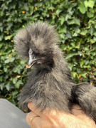 5F861B2E-8EF9-4A05-A510-6A8A929C3C97