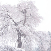 6fa1c0a95634b9258188444d5522b3d6