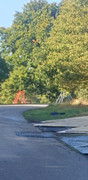 IMG-5876.jpg