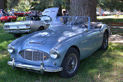 DSC-0205.jpg