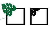 [Image: capture.jpg]