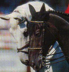 [Image: 3142496098-1-2-t-MKn-D0-JW.jpg]