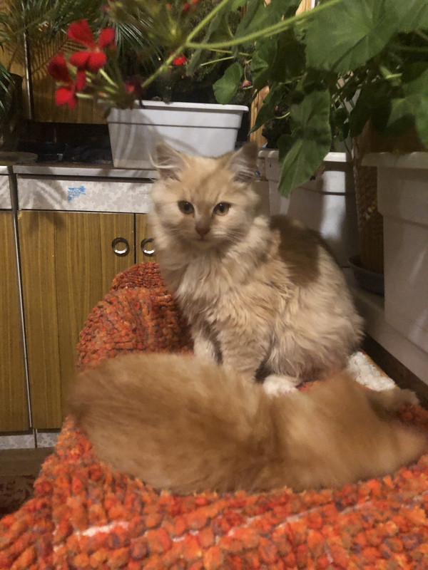 C4BE3B31-8629-486E-B82E-6E35DCAE5222