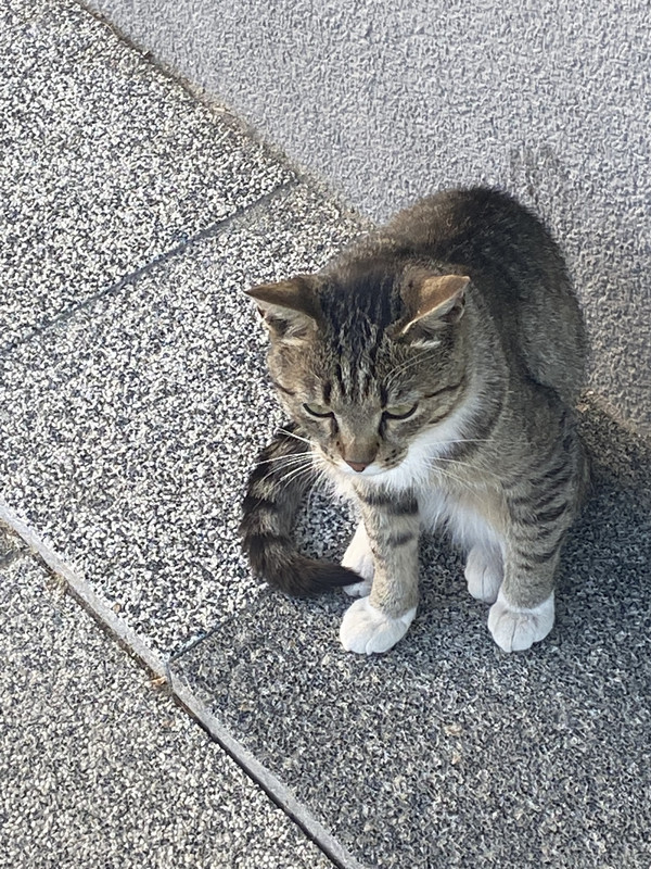 8CCBD1DA-103D-4627-9EF3-FD835C739FFC