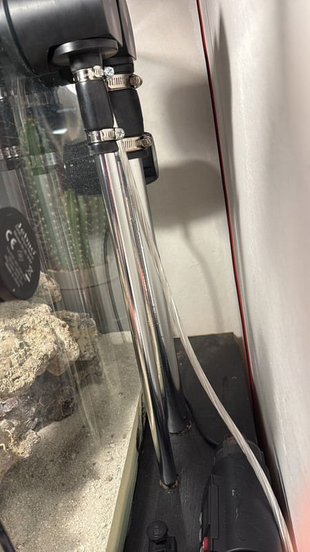 6F01DBB7-0072-4FB4-BA05-3B14A93727CB