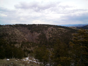 IMG_20210314_140204_6