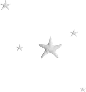 DBJ-ELEM80