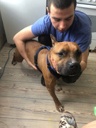 623937C5-6CAD-4657-9DB6-A4D957D3C7D3