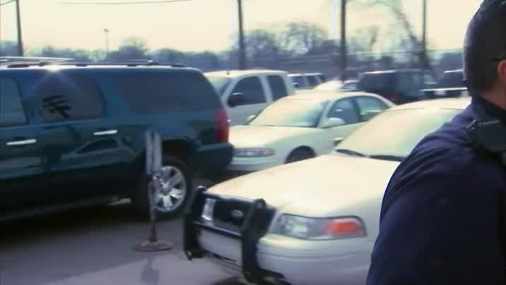 [Image: ucpz5q54v4mv.jpg]