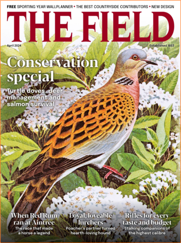 [Image: 3u22iqrbs0rp.png]