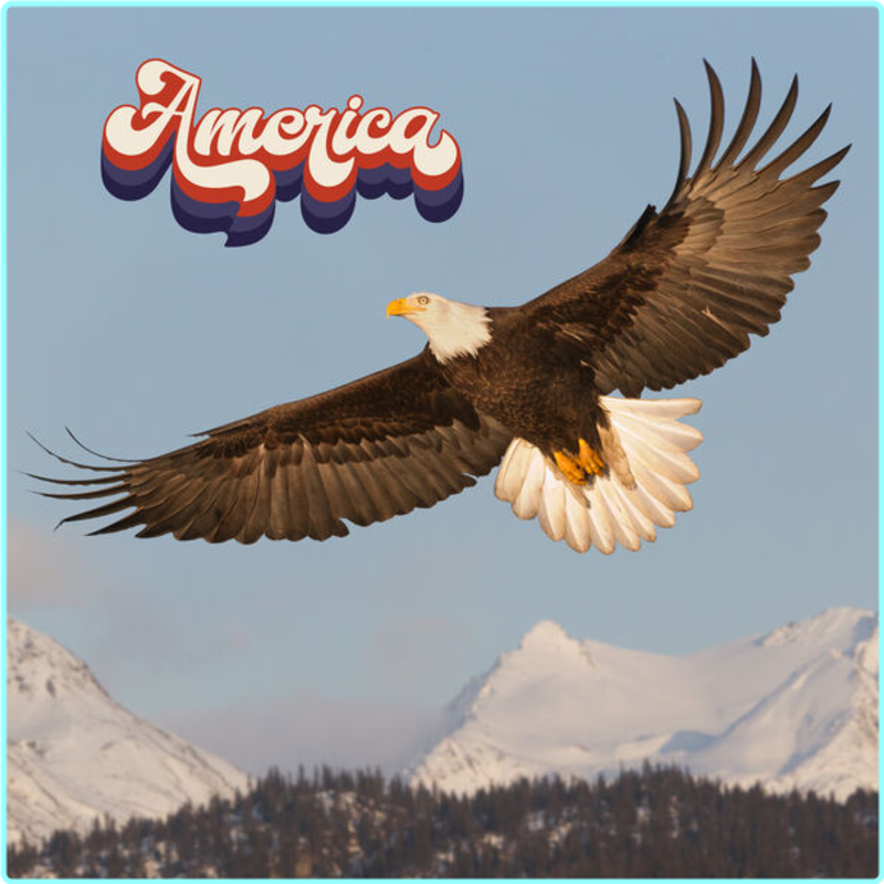 [Image: j8f2qcj7tbu1.png]