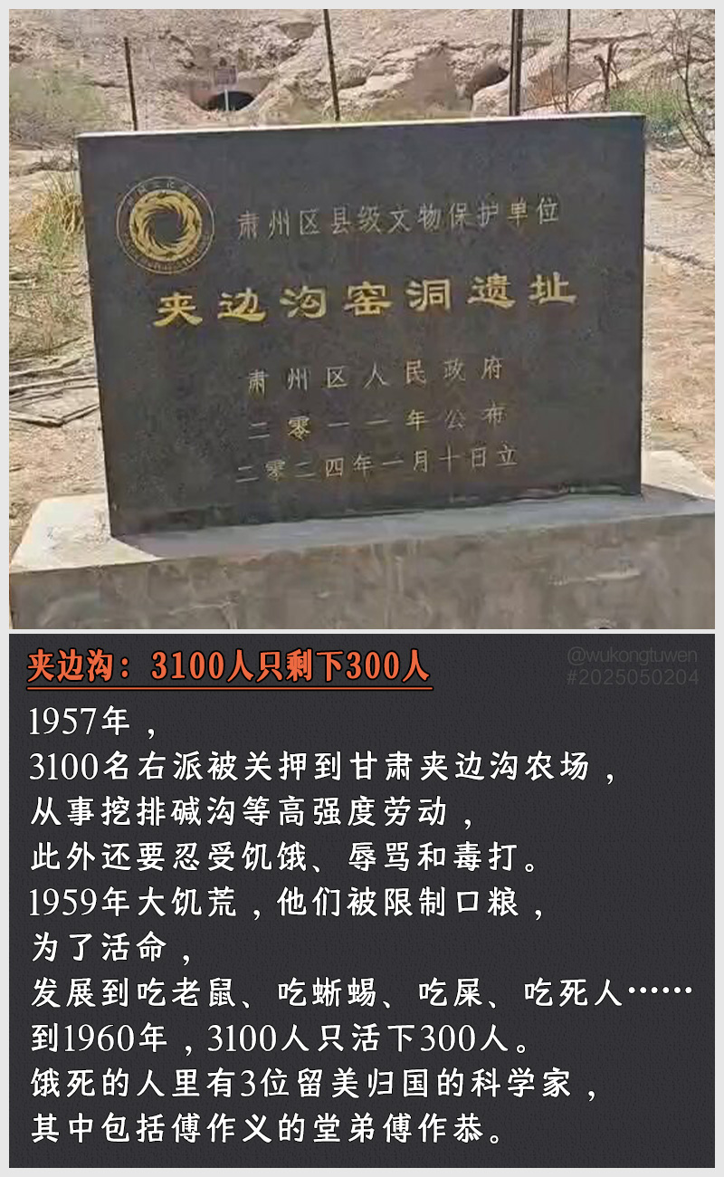 https://i.postimg.cc/y19VzQf9/2025050204-3100-300.jpg