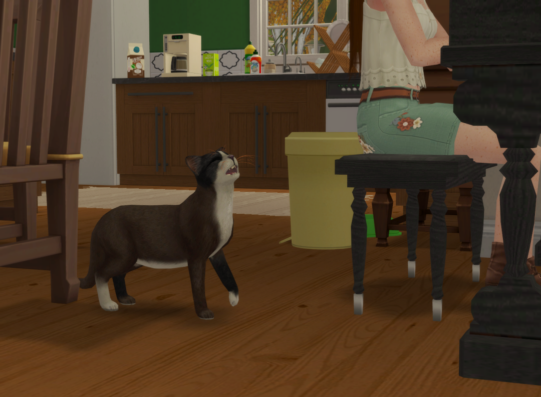 Sims2-EP9-RPC-2024-09-11-21-06-55-69