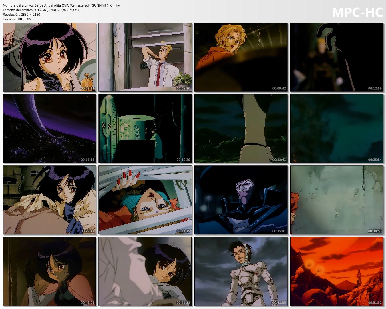 Alita - Battle Angel (GUNNM) [OVAS] (1993) [480p - 1080p]