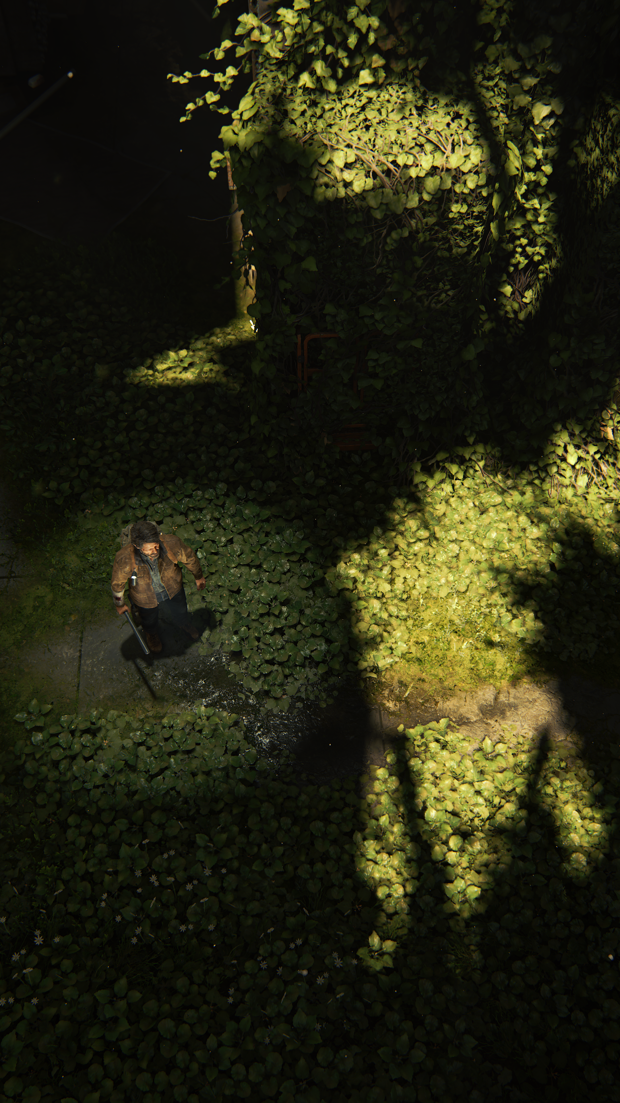 The-Last-of-Us-Part-II-Remastered-20240612233727.png