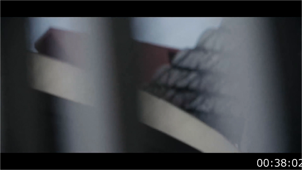 [Image: 0gxlynara516.png]