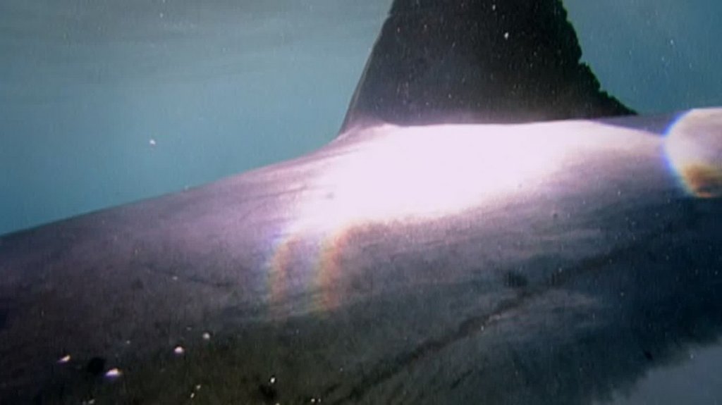 [Image: 74npiqzd6kf7.jpg]