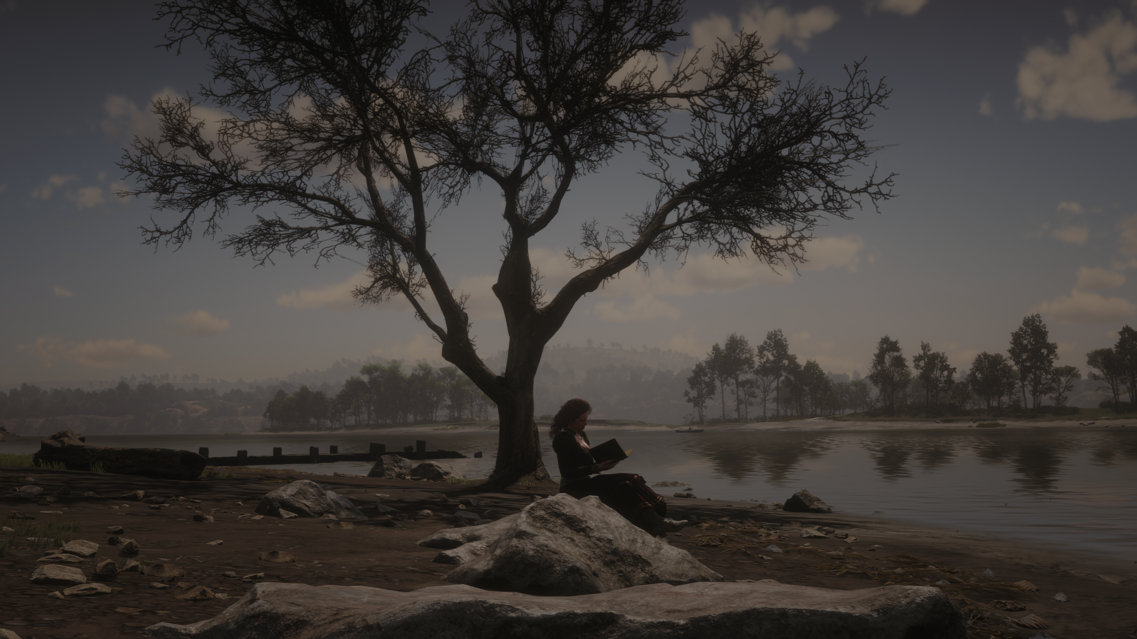 Red-Dead-Redemption-2-20260311002349.png