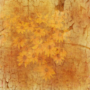 Tangerine-Winter-Kit-40