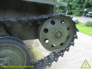 IMG-0229