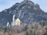 [Immagine: IMG-6918.jpg]