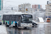IMG-5725