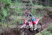 IMG-6195