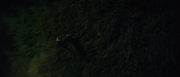 vlcsnap-2024-02-03-14h41m27s749.png