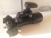 AF304081-E742-4E77-B3EF-21C7B06A4BE6