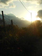 photo 19 2026 01 10 16 00 05