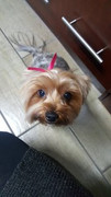 Riley-Martheze