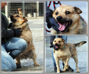 Be-Funky-collage-25.jpg&key=fcc1bea67111