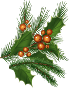 Daelmans-Designs-Deck-The-Halls-TS-PU-Element-0103