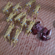 02-Kingdom-Cheetor-Warpath