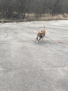 C16C5AD0-B5B6-492D-81D4-B0DEB82574C6