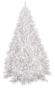 MD-103