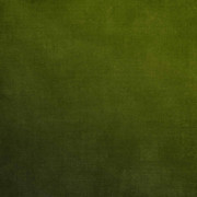 Tangerine-Winter-Kit-18