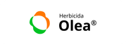 Olea