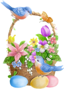 0-1c149f-22236e7b-orig