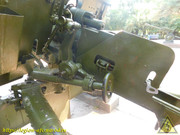 DSCN6767