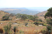IMG-0300