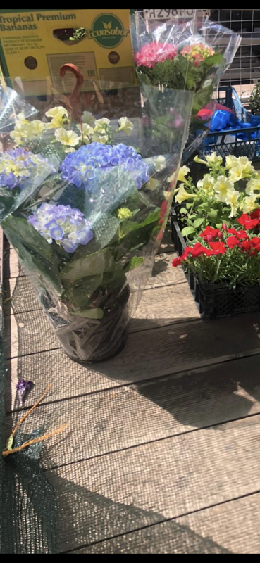 238B97EB-D613-4590-AE9B-42D7C3529DD6