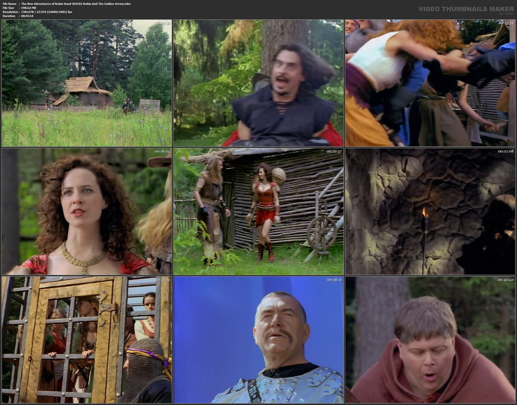 The New Adventures of Robin Hood S01E03 Robin And The Golden Arrow.mkv