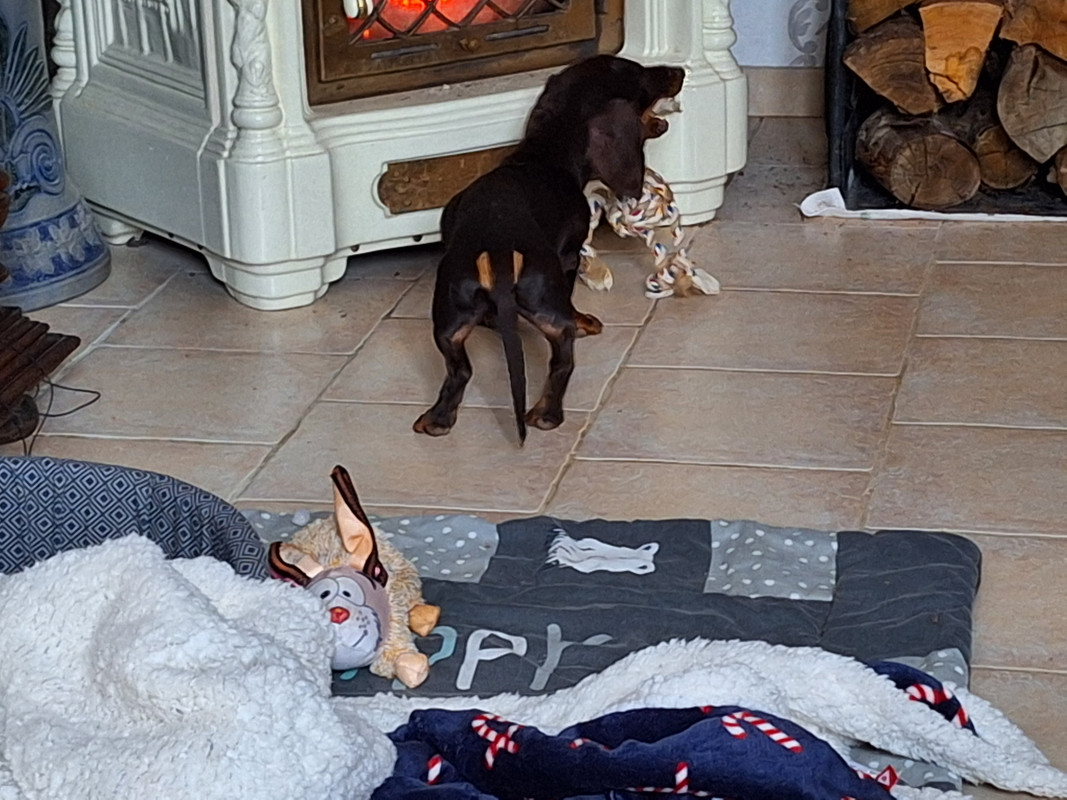 [Image: 20240123-134309.jpg]