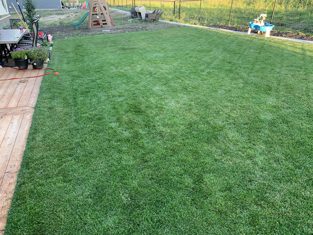 1D8414D4-095E-4C48-AEF0-77F558DC9EC6