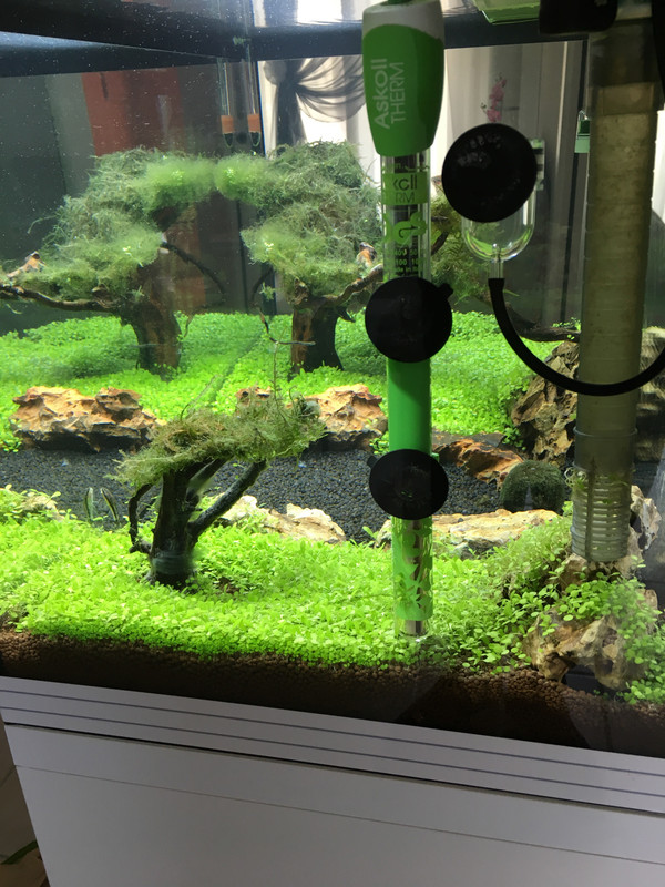 1ABCA283-EA62-4DB5-ACFB-22ACDFB68D60