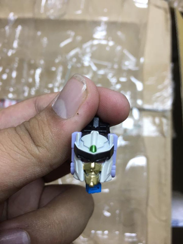 18893375_1406922412707028_7680496829903853656_n