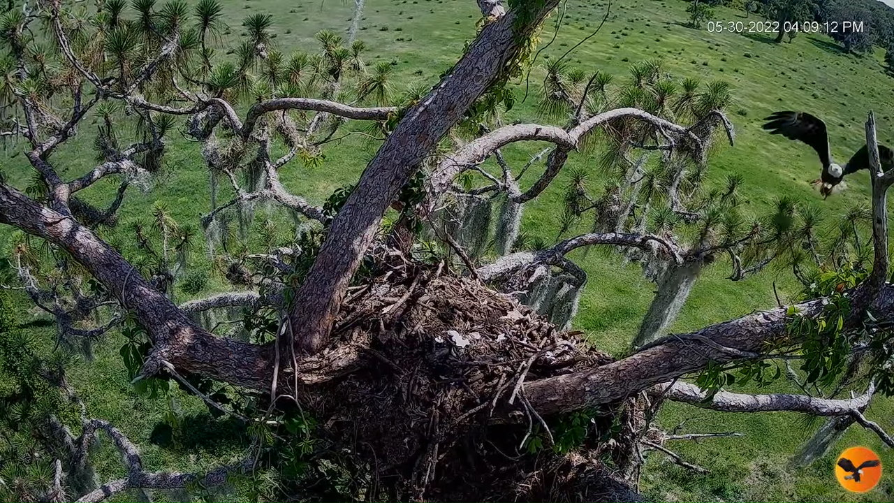 EC 4K Overhead Cam 7-43-26 screenshot