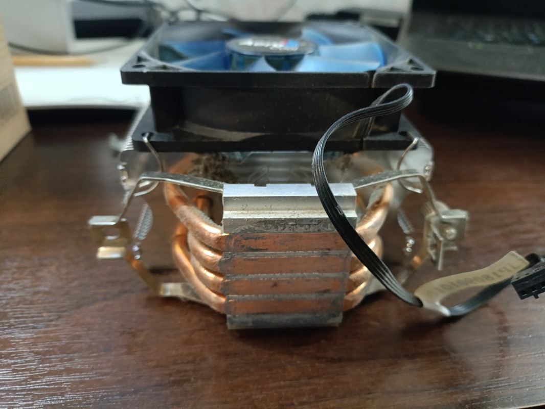 изображение_viber_2025-06-21_18-35-07-961