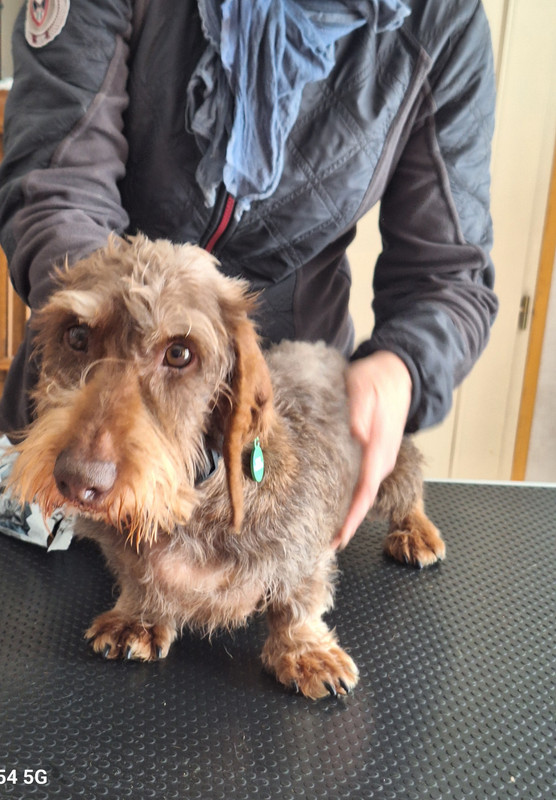 [Image: 20241022-142655.jpg]